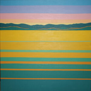 Champs Canola en fin de journée