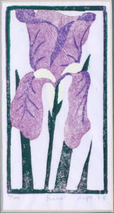 Iris mauve