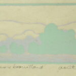 Buissons et Bruillard