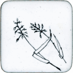 Herbes (unconfirmed)