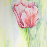 Red Flower (untitled)