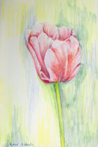 Red Flower (untitled)