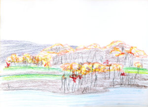 Fall Colours (untitled)