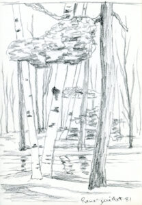 Boileaux sur la rive (untitled)